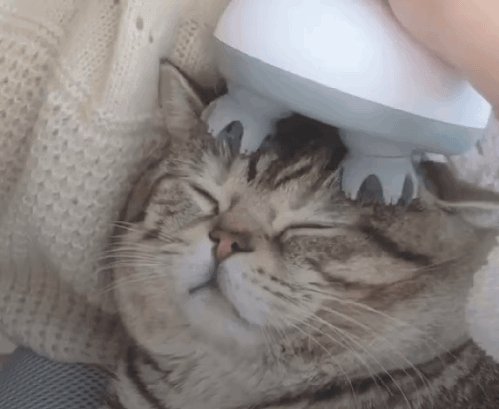 趣味生活工具品牌推荐榜单-好用的趣味生活工具榜单