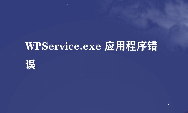 WPService.exe 应用程序错误
