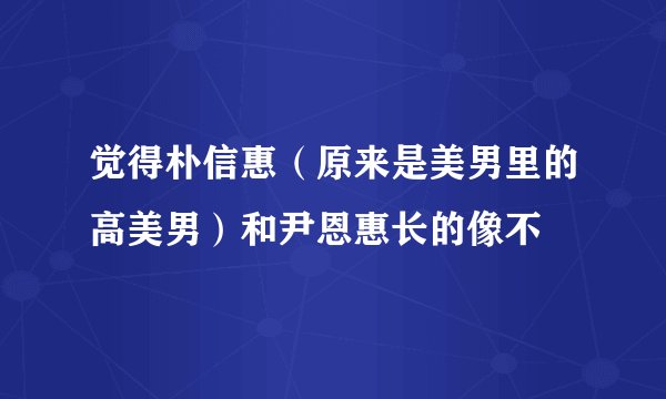 觉得朴信惠（原来是美男里的高美男）和尹恩惠长的像不