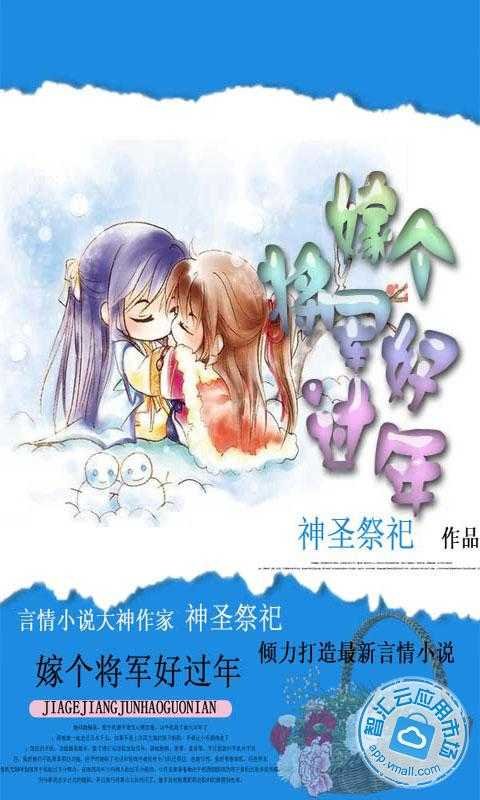 嫁个将军好过年的介绍