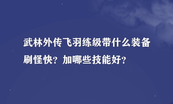 武林外传飞羽练级带什么装备刷怪快？加哪些技能好？