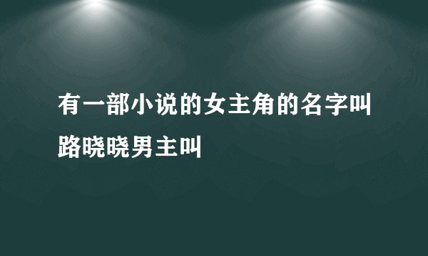 有一部小说的女主角的名字叫路晓晓男主叫