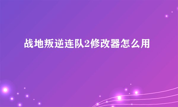 战地叛逆连队2修改器怎么用