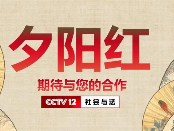 重阳节歌曲大全100首歌词