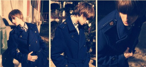 米歇尔·沃尔什的介绍