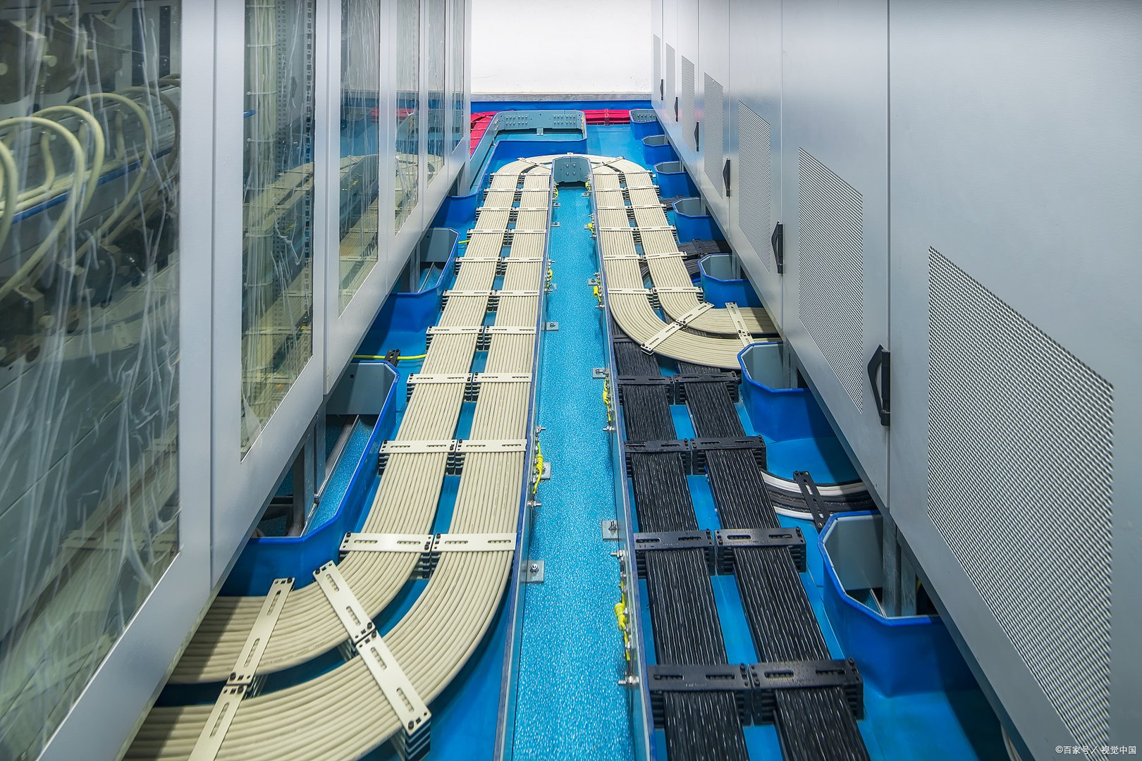 宁波一外包维修工偷剪电缆，碰到电信局局长，最终得到了什么处罚？