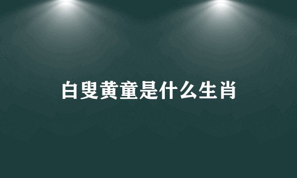 白叟黄童是什么生肖