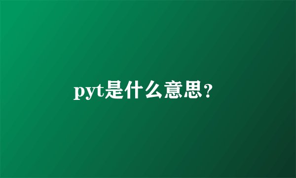 pyt是什么意思？
