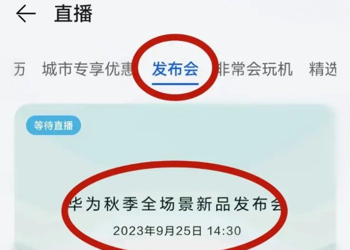 如何观看华为手机直播发布会？
