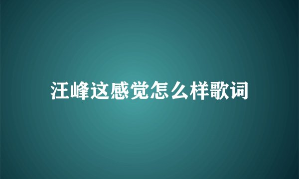 汪峰这感觉怎么样歌词