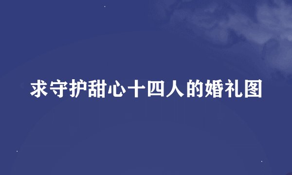 求守护甜心十四人的婚礼图