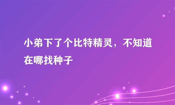 小弟下了个比特精灵，不知道在哪找种子