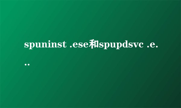 spuninst .ese和spupdsvc .exe分别什么意思啊？