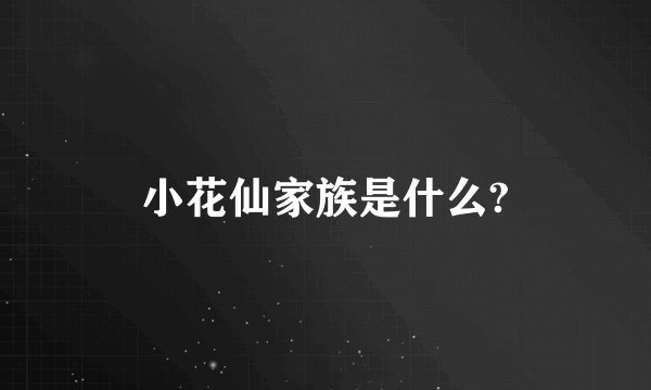 小花仙家族是什么?