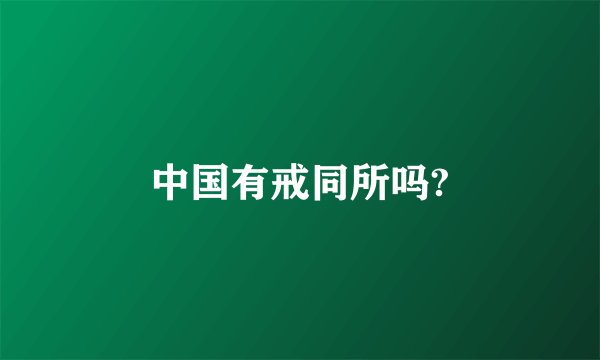 中国有戒同所吗?