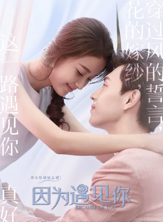 《因为遇见你》电视剧大结局是什么？