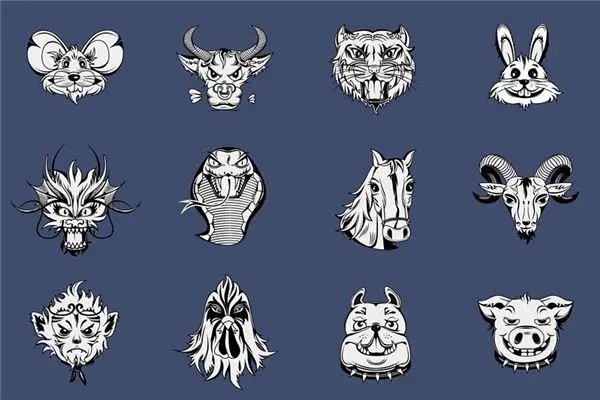 出生蛋壳体虽轻猜生肖