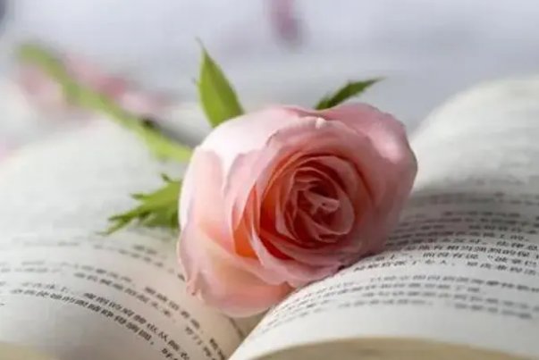 高情商怎么回复家长的感谢信息呢？