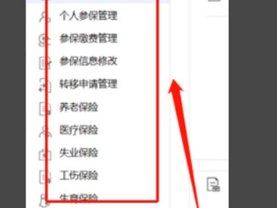 深圳社保查询个人网页(http://e.szsi.gov.cn/)怎么总登不上呢