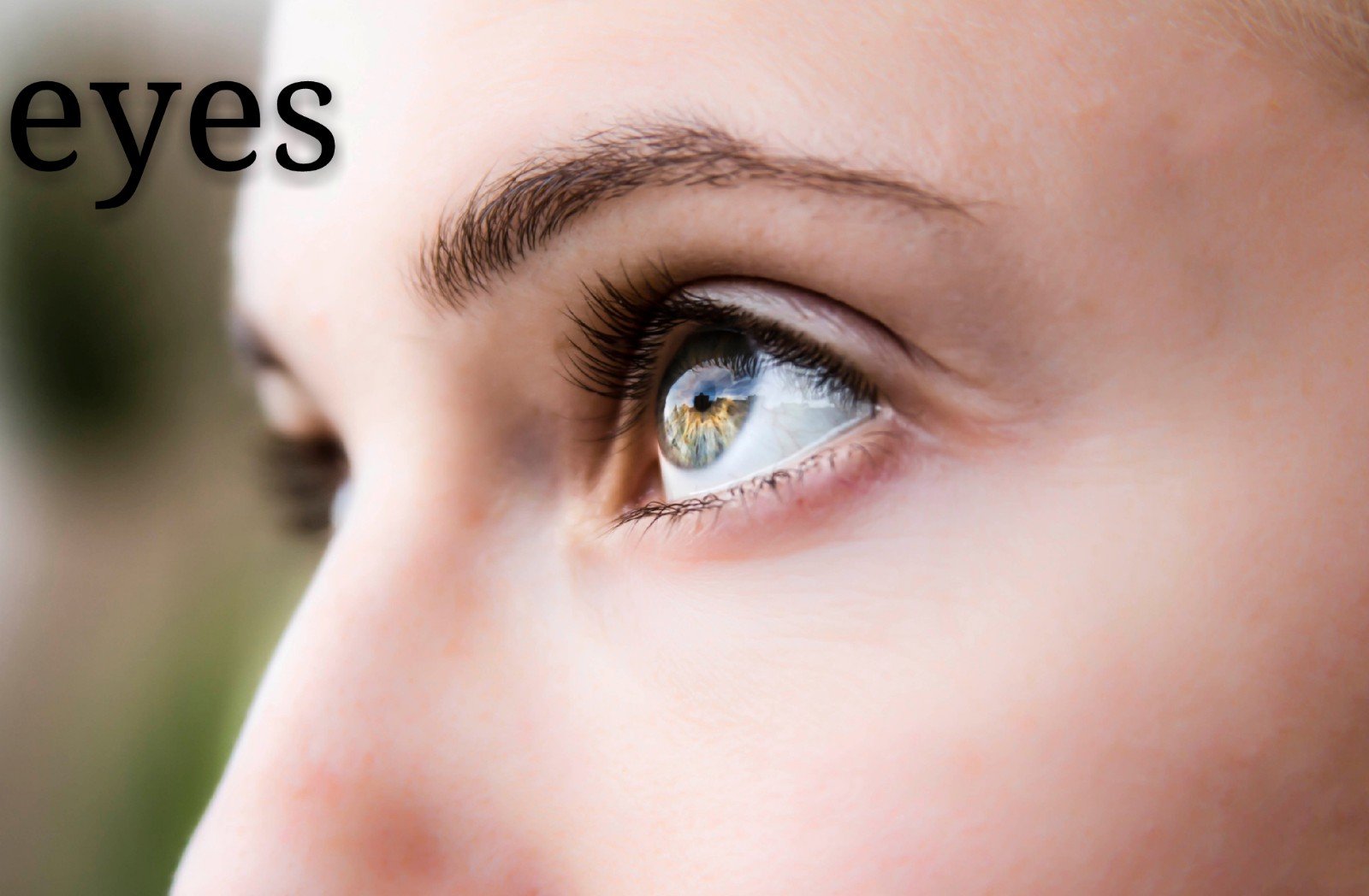 eyes是什么意思