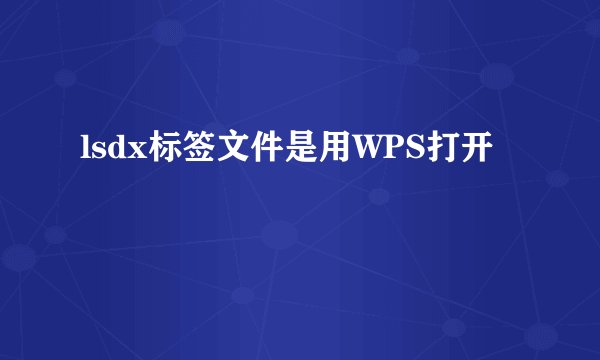 lsdx标签文件是用WPS打开