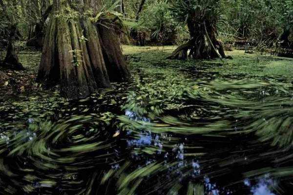 水泽是什么意思