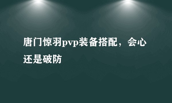 唐门惊羽pvp装备搭配，会心还是破防