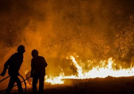 重庆7天10余起山火，该如何扑灭？