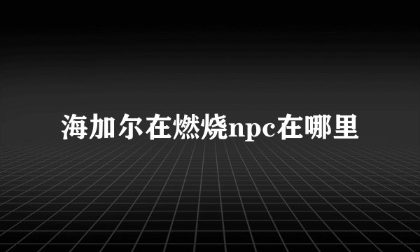 海加尔在燃烧npc在哪里