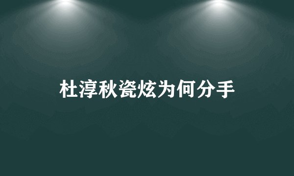 杜淳秋瓷炫为何分手