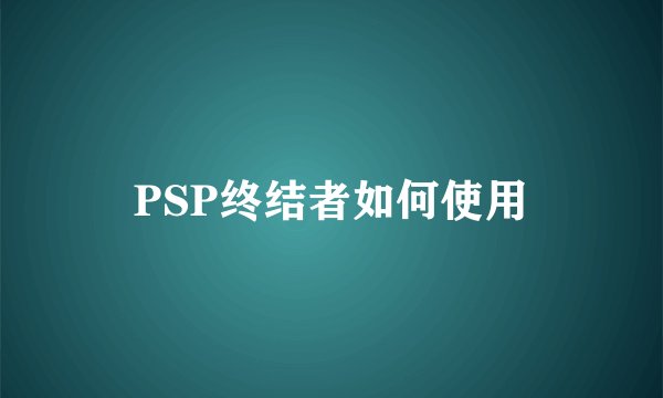 PSP终结者如何使用