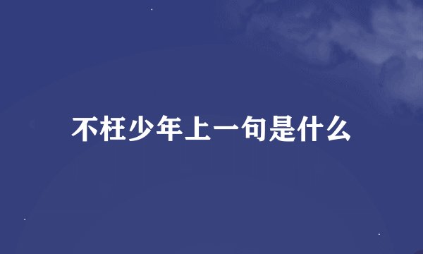 不枉少年上一句是什么