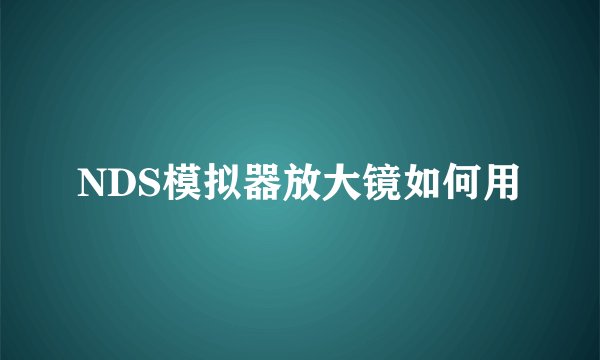 NDS模拟器放大镜如何用