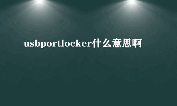 usbportlocker什么意思啊