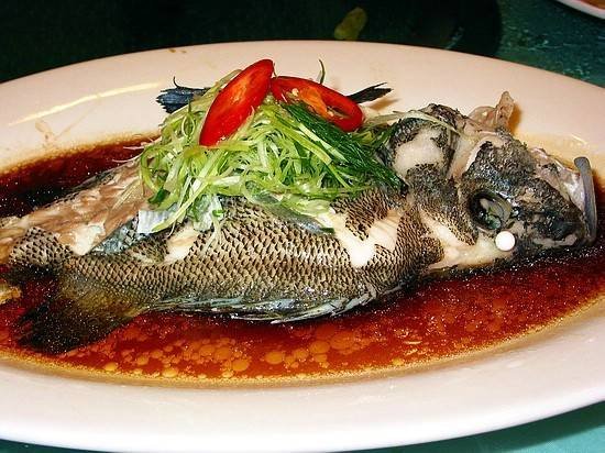 清蒸石斑鱼是属于什么菜系？