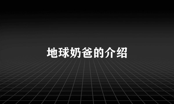 地球奶爸的介绍