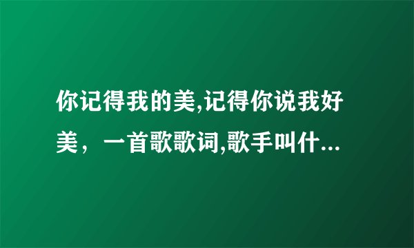 你记得我的美,记得你说我好美，一首歌歌词,歌手叫什么思什么的