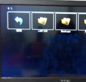 TCL液晶电视支持什么格式的视频播放？