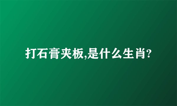 打石膏夹板,是什么生肖?
