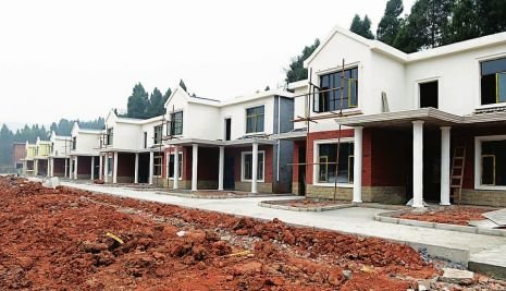 本桥麻里的职业生涯