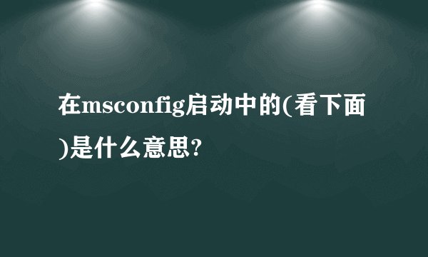 在msconfig启动中的(看下面)是什么意思?