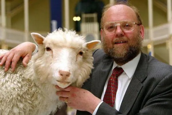 爱礼存羊的现实意义