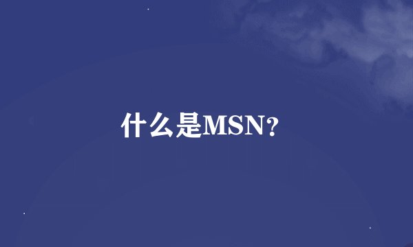 什么是MSN？