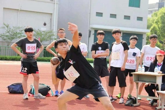 高考特长生都有哪些专业