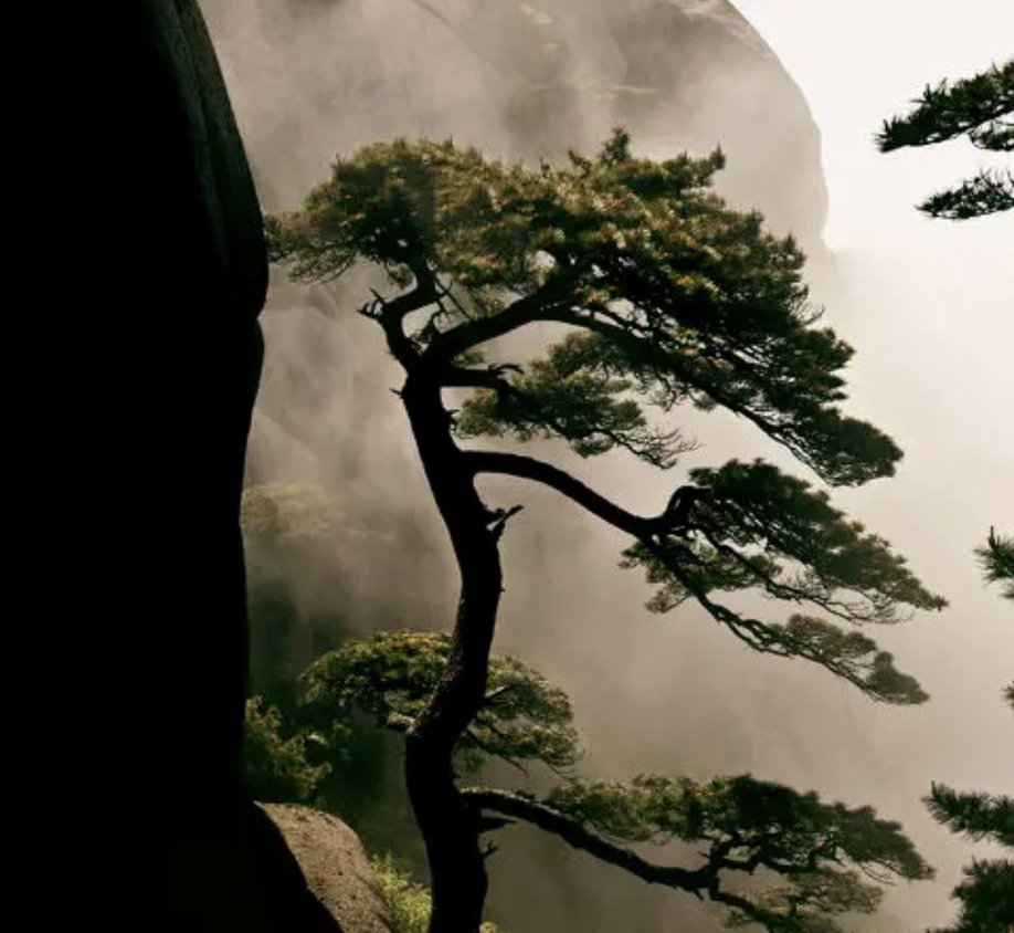 坚挺是什么意思