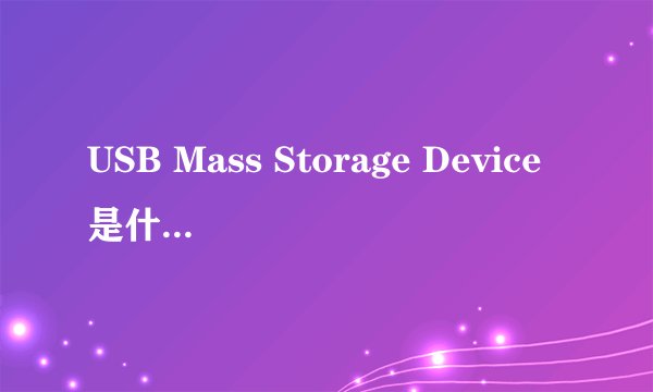 USB Mass Storage Device是什么意思?
