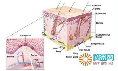 狐易康的除臭小常识