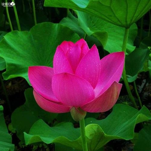 儿子说我偷偷看了他的东西,总是给我有间隔,该怎么办？