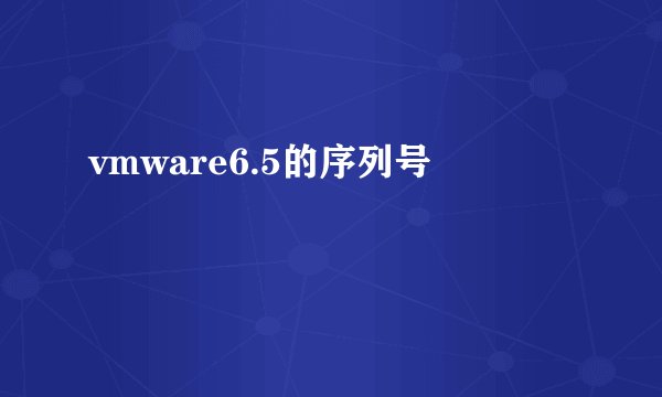 vmware6.5的序列号