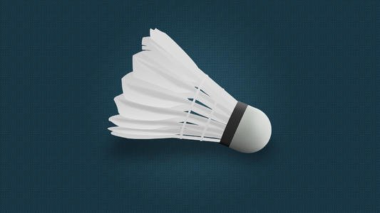 羽毛球中球拍的重量:2U..3U..是什么意思``??